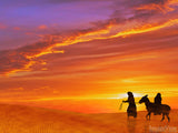 Christmas Backgrounds Bundle Christmas Backgrounds Bundle