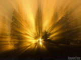 Christmas Backgrounds Bundle Christmas Backgrounds Bundle