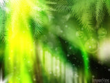 christmas lights and evergreen background christmas lights and evergreen background