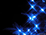 christmas background blue lights on a outdoor fir tree christmas background blue lights on a outdoor fir tree