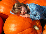 little girl on giant pumpkin little girl on giant pumpkin