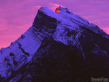 pink background highlights majestic mountain pink background highlights majestic mountain