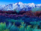 summer snow covered mountains in background midsummer dream summer snow covered mountains in background midsummer dream