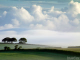 background of misty countryside and green grasses background of misty countryside and green grasses