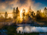 sun shines through fog background summer misty dawn sun shines through fog background summer misty dawn