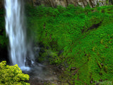 misty water plunges to the rocks misty water plunges to the rocks
