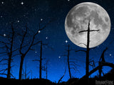 moon behind barren lands show cross outline moon behind barren lands show cross outline