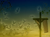 cross doves morning of promise cross doves morning of promise