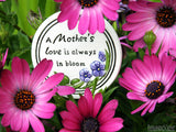 daisies and pendant says a mother's love is always in bloom daisies and pendant says a mother's love is always in bloom