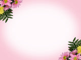 pink background for mother's day with flowers pink background for mother's day with flowers