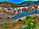 mountains of sandstone and yellow flowers mountains of sandstone and yellow flowers