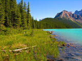 wilderness lake in the mountains wilderness lake in the mountains