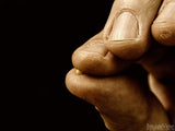parable of the mustard seed parable of the mustard seed