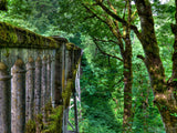 old stone bridge leads the way through the forest old stone bridge leads the way through the forest