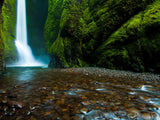 looking upstream at Oneonta gorge waterfall looking upstream at Oneonta gorge waterfall