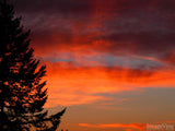 the orange clouds on the night sky the orange clouds on the night sky
