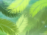 palm sunday branches palm sunday branches