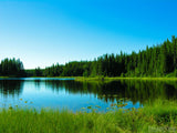 peaceful lake with green all around peaceful lake with green all around