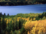 peaceful river with yellow and green autumn trees peaceful river with yellow and green autumn trees
