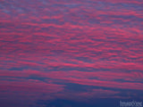 pink cloud background pink cloud background