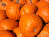 stacked pumpkins create thanksgiving background stacked pumpkins create thanksgiving background