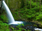 ponytail falls Oregon ponytail falls Oregon