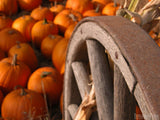 pumpkins by old wagon wheel pumpkins by old wagon wheel