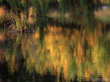 reflection on pond of fall colors reflection on pond of fall colors