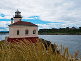 river lighthouse with tall gold grasses in foreground river lighthouse with tall gold grasses in foreground