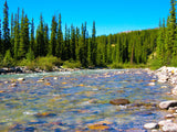 rocky wide creek with green trees as a backdrop rocky wide creek with green trees as a backdrop