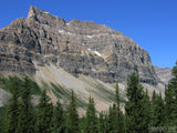 green trees at the base of rocky mountain green trees at the base of rocky mountain