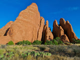 sandstone fins with foreground of green desert shrubs sandstone fins with foreground of green desert shrubs