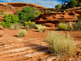 sandstone rock formations sandstone rock formations