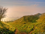 sheep on a hill in england sheep on a hill in england