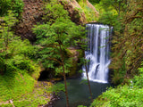 silver falls in silver state park silver falls in silver state park