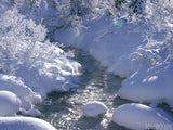 snowy banks of flower winter stream snowy banks of flower winter stream