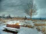 bench covered with snow on hill by tree bench covered with snow on hill by tree