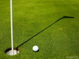 golf ball tee cup so close golf ball tee cup so close