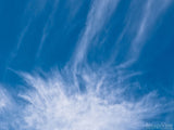 soft white cloud in a blue sky soft white cloud in a blue sky
