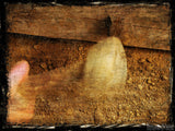 spike driven into the cross jesus was on spike driven into the cross jesus was on