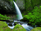 stone ledge green moss rocks and background waterfall stone ledge green moss rocks and background waterfall