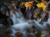 soft stream in fall with golden maple leaves in background soft stream in fall with golden maple leaves in background