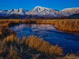 summer oasis near river snow mountains in background summer oasis near river snow mountains in background