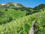 pathway through the summer slopes mountain top in background pathway through the summer slopes mountain top in background