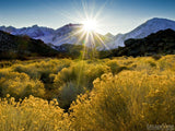 sunburst over mountain top summer background sunburst over mountain top summer background