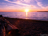 sunrise on a rocky beach with logs sunrise on a rocky beach with logs