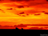 sunset silhouette  sunset silhouette