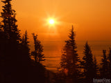 brilliant orange sunset through the trees brilliant orange sunset through the trees