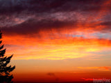 a beautiful orange sunset a beautiful orange sunset