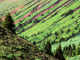 the valley between two green slopes the valley between two green slopes